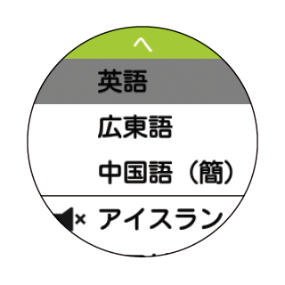 設定：オンライン翻訳　翻訳言語設定2